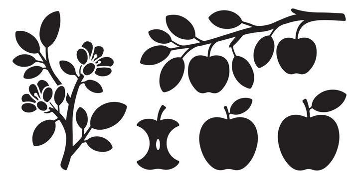 Apple tree branch silhouette collection with blossoming flowers and fruit core icons representing nature and life.