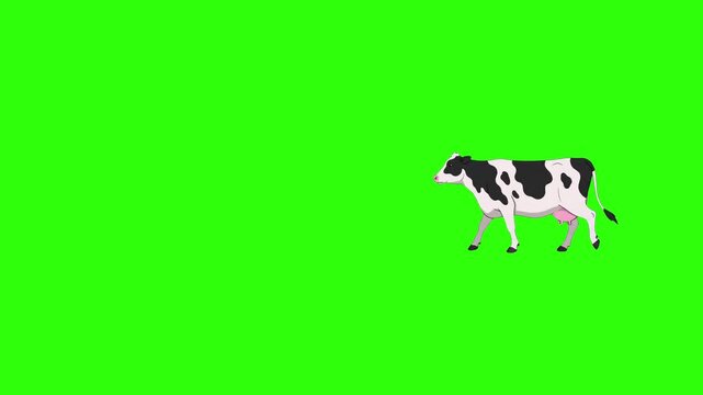 A classic black and white spotted dairy cow walks across a vibrant chroma key green screen background. This minimalist 2D animated animal sprite is designed for farm-themed games, agriculture presenta