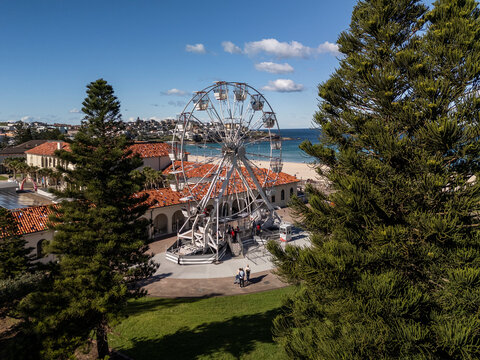 Ferris wheel at beach on sunny day with blue sky green grass and magnificent pine trees with sea and urban architecture in landscape format