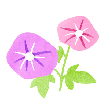 スタンプ風アサガオのイラスト