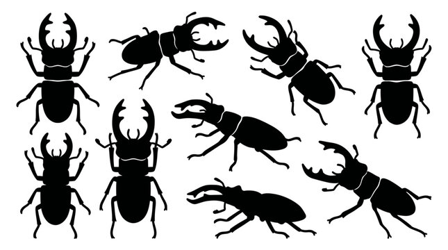 Stag beetle silhouettes set on white background