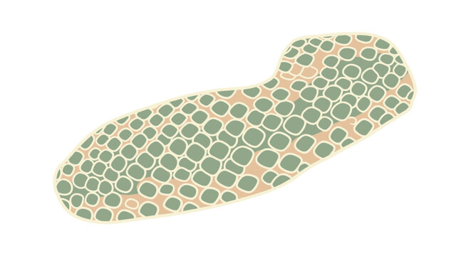 Abstract organic cell structure with green and tan textures
