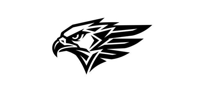 Eagle Head Logo Design.