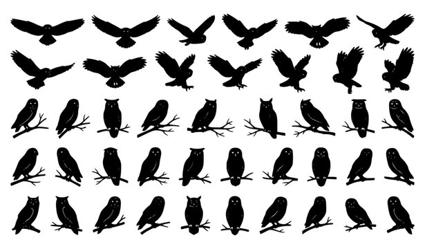 Collection of Owl Bird Silhouette Illustrations Set &ndash; Flying and Perched Black Vector Owls Isolated on White