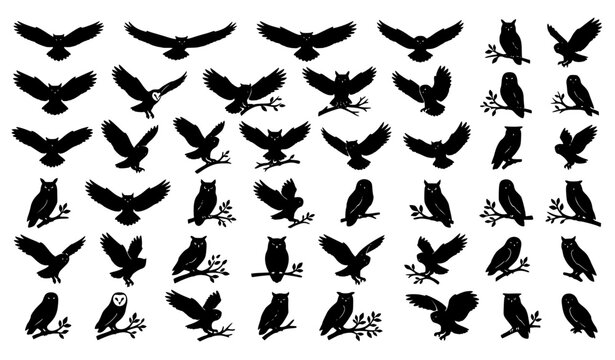 Collection of Owl Bird Silhouette Illustrations Set &ndash; Flying and Perched Black Vector Owls Isolated on White
