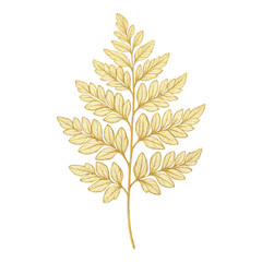 Fototapeta premium PNG Elegant golden leaf illustration
