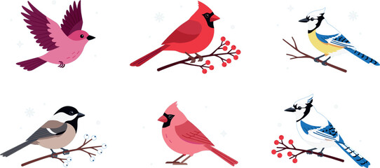 Cute Winter Bird Vector Set with Cardinal Blue Jay Chickadee and Pink Bird on Snowy Branches for Nature Wildlife Design © MDEsmayil