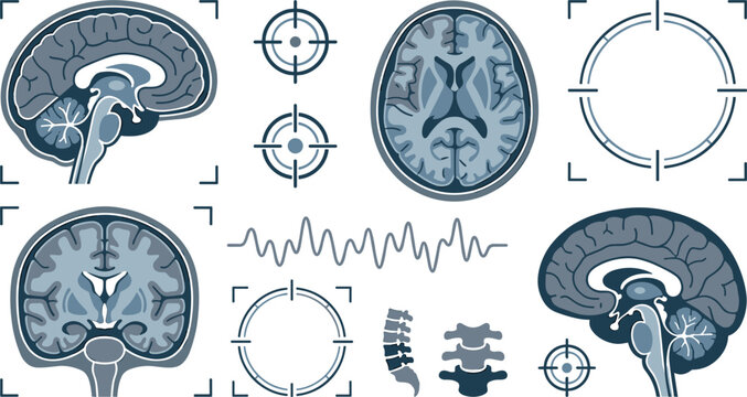 Human Brain MRI Anatomy Vector Icon Set with Medical Scan Cross Sections Target Symbols Spine and Brainwave Diagrams for Healthcare Infographic Designs