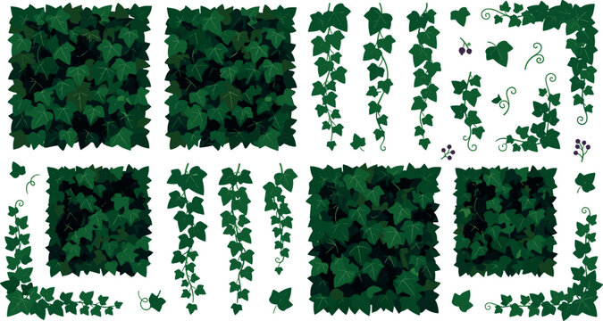 Green Ivy Leaf Vector Illustration Set with Climbing Vines, Hedges, Wall Textures, Corner Borders, and Hanging Foliage Clipart Elements for Botanical Graphic Designs