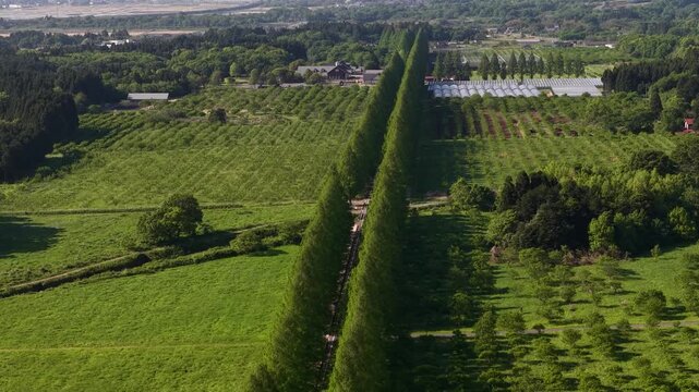 ローカルツーリズム・滋賀の豊かな自然と農業風景 / Local Tourism Lush Nature and Agricultural Landscape in Shiga