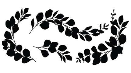 Set of elegant botanical eucalyptus branch silhouettes for floral decoration arrangement and organic plant element design on transparent background. © MST DESIGN