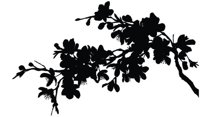 Fototapeta premium Black silhouette of cherry blossom branches, delicate flowers and twigs, isolated on transparent background, romantic floral graphic element.