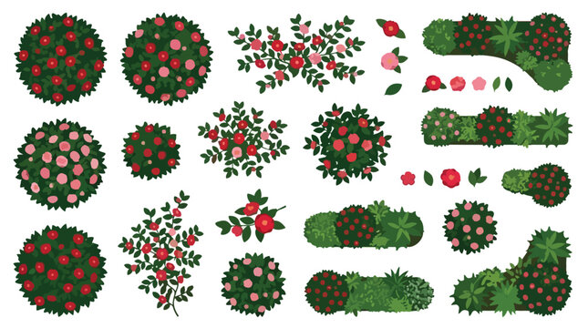 Garden landscape design elements, top view flowering bushes and shrubs set, botanical vector icons for architectural site planning and park mapping