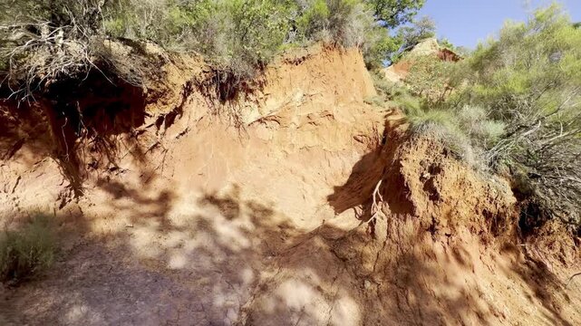 Eroded red and orange ochre embankment with exposed tree roots
