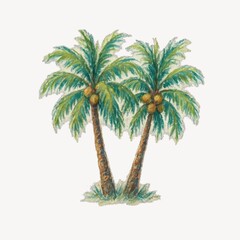 Fototapeta premium Tropical palm tree illustration