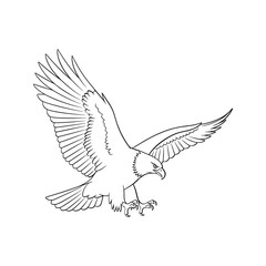 Obraz premium Eagle diving with talons extended on white background in sharp monochrome line aesthetic for athletic team branding