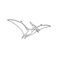 Pterodactyl soaring on isolated white background with minimalist monochrome aesthetic for paleontology museum © Siti