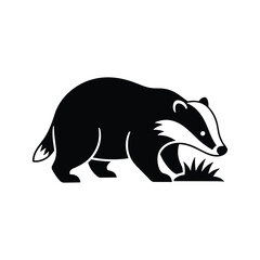 European badger foraging on grass isolated on white background with sharp minimalist monochrome style for wildlife education branding © Siti