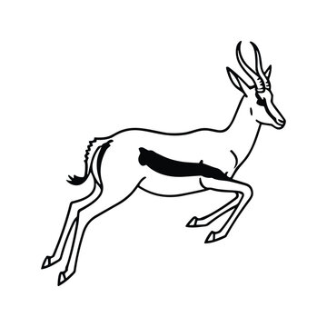 Springbok gazelle leaping mid-air on isolated white background with minimalist monochrome silhouette for safari travel
