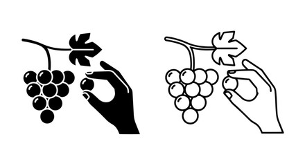 Picking grapes icon set, hand choosing single berry fruit, vineyard © MdDelowar