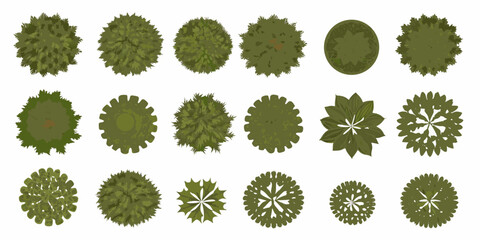 Collection Of Tree Top Views Green Vector Illustration On White Background © Rathindranath
