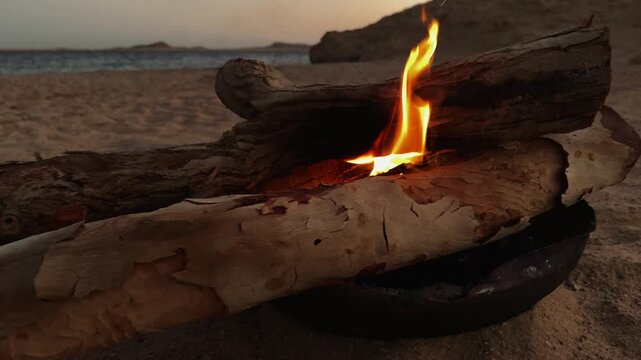 Slider motion Close Up of Bright Campfire Flames Burning between wooden firewood on Sandy Desert Beach in Sinai Egypt