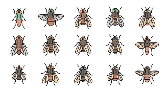 Various colorful fly illustrations isolated on white background for design assets