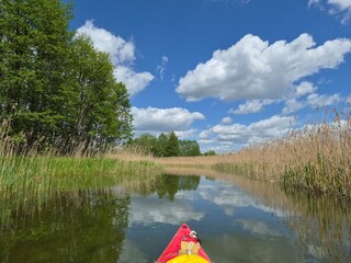 Kajakowa wycieczka w wakacje rzeką  © FotoDax