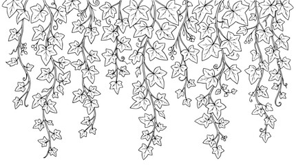Fototapeta premium Hanging Ivy Vine Border Line Art Illustration for Coloring Page