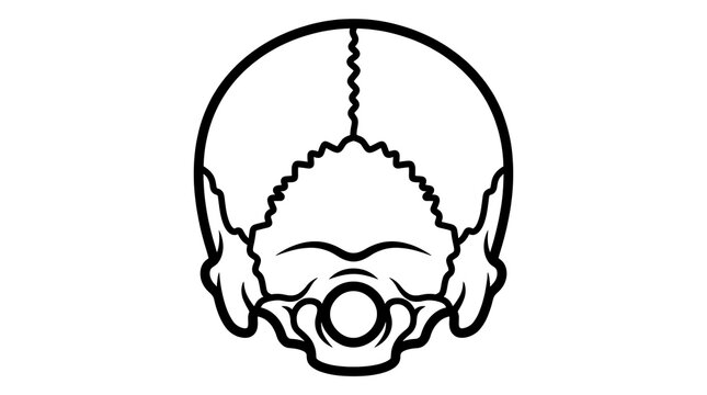 Black and white skull silhouette drawing.