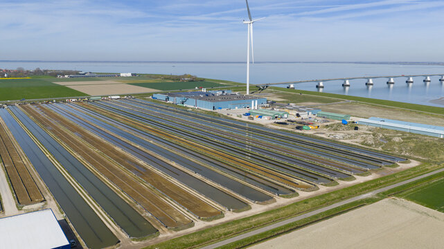 Kats, Zeeland, Netherlands - 08 April 2026: Aerial view of Fish Farm Basins near Zeelandbrug in Zeeland