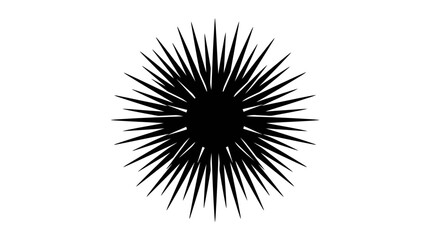 Obraz premium Abstract Starburst Silhouette, Radial Burst, Black and White Graphic