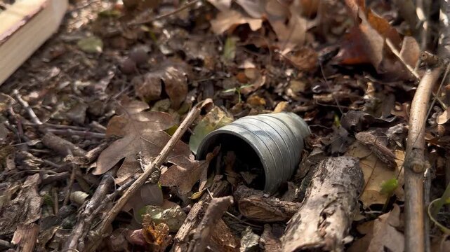 Metal fragment of a cluster munition lying in oak forest leaf litter, with marker stakes placed nearby during humanitarian demining &mdash; a poignant editorial visual of postconflict hazards