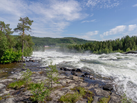 Powerful whitewater rapids at Storforsen on the Pite River in &Auml;lvsbyn Municipality, Norrbotten, Sweden. Fast-flowing water, forest landscape  at one of Europe's largest free-flowing rapids