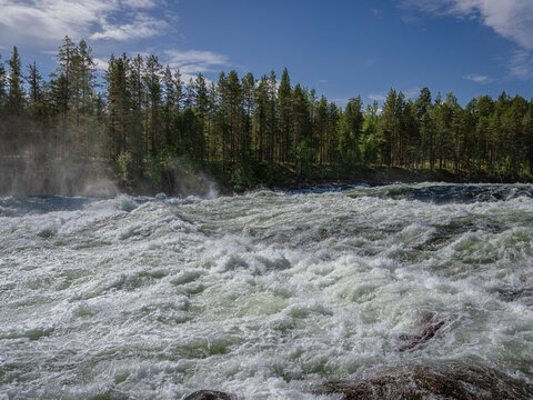 Powerful whitewater rapids at Storforsen on the Pite River in &Auml;lvsbyn Municipality, Norrbotten, Sweden. Fast-flowing water, forest landscape at one of Europe's largest free-flowing rapids