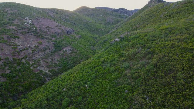 Aerial View of Fernwood Cabin Trail Wasatch Mountains Layton Utah in Spring