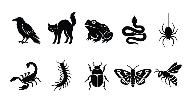 Set of halloween themed black silhouettes including raven cat toad snake spider scorpion and bugs