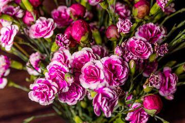 Fototapeta premium Close-up of a bouquet of bright pink carnations..