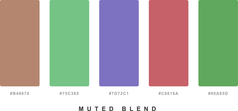 Muted blend color swatches featuring earthy and soft tones with hex code labels for professional interior design branding.
