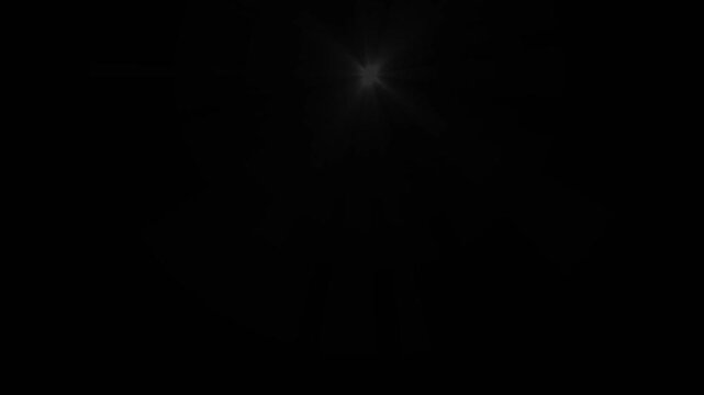 Camera flashes of photographers on a black background. Camera Flash Effect animation isolated in black background.
Photographer camera flashes. Random bright blinking lights.