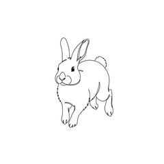 Fototapeta premium Playful rabbit hopping in a serene white background