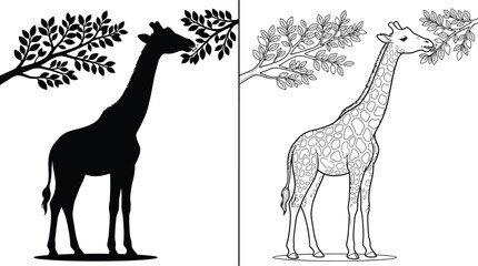 Giraffe Silhouette and Outline Eating Leaves From a Tree Branch, Presented as a Flat Vector Art Illustration © Md