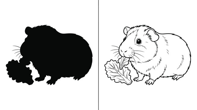 Guinea Pig Eating a Lettuce Leaf with a Black Silhouette Version on a Minimalist White Background