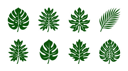 Monstera and palm leaf silhouettes in dark green. © togor