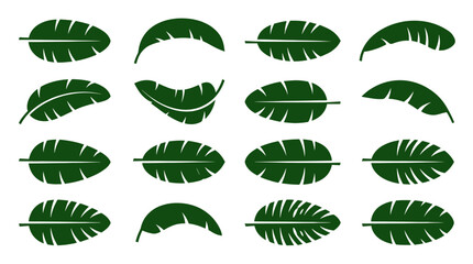 Assorted tropical banana and monstera leaf silhouette shapes. © togor