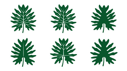 Assorted green selloum and tropical leaf graphic icons. © togor