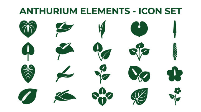 Anthurium plant elements and flower icons in green.