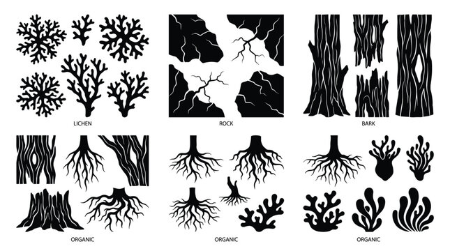 Silhouette nature texture elements including lichen rock bark and organic tree roots for environmental design sets