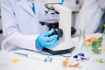 Fototapeta premium Team Scientist testing food samples in lab with microscope, vegetables, and meat for safety, nutrition, and biotechnology