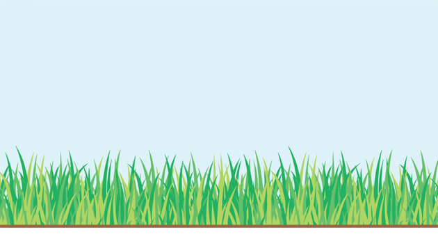Lush green grass border grows vibrant and fresh under a peaceful clear light blue sky in a minimal landscape design.